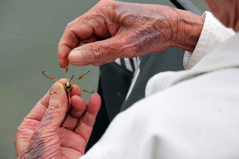 Review: Latest Trends in Streaming Services