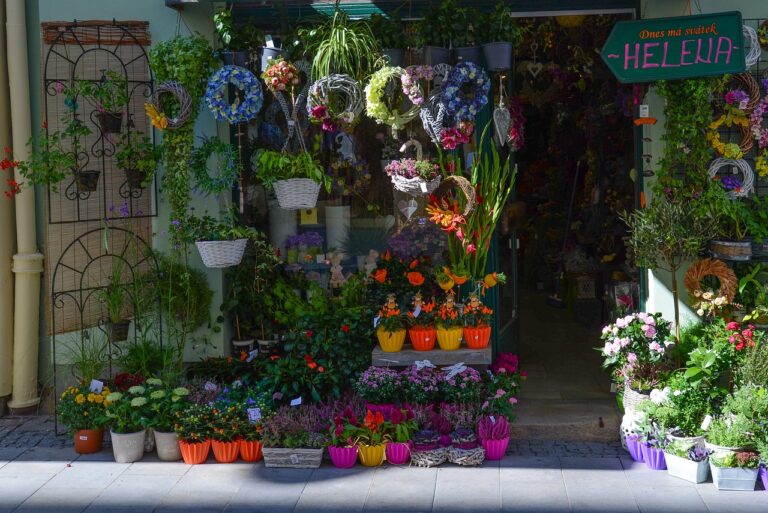 Exploring the Benefits of Mobile Wallets