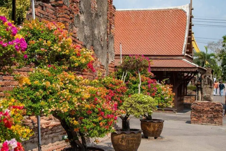 Election Laws and Regulations: A Global Perspective